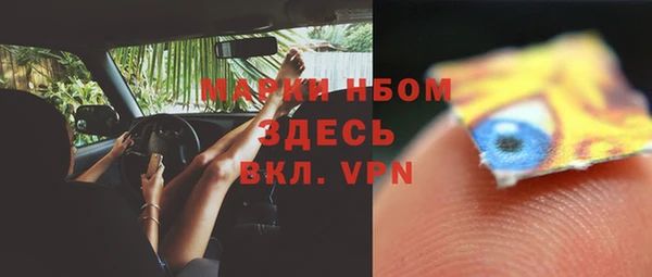 прущие грибы Алексин