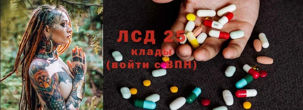 гашик Алзамай
