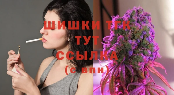 прущие грибы Алексин