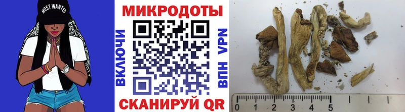 дарнет шоп  Лесной  Псилоцибиновые грибы Psilocybe 