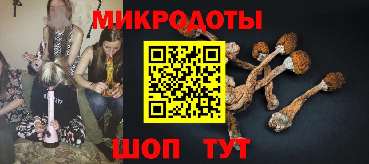 Лесной  Галлюциногенные грибы MAGIC MUSHROOMS  Вход с VPN  Галлюциногенные грибы Cubensis 